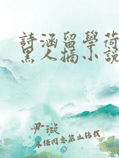 诗涵留学荷兰被黑人摘小说