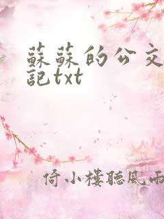 苏苏的公交车日记txt