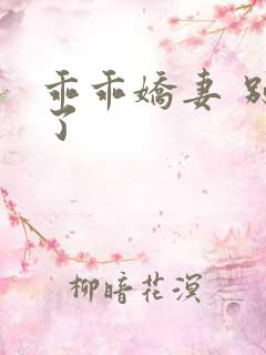 乖乖娇妻 别闹了