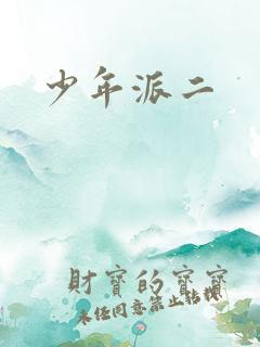 少年派二
