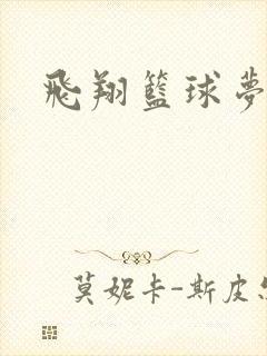 飞翔篮球梦下载