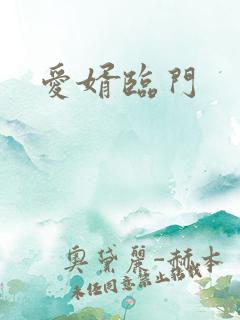 爱婿临门
