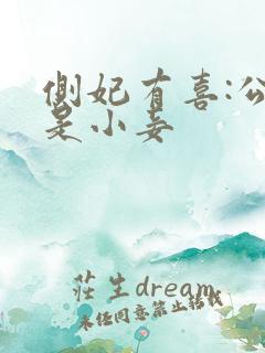 侧妃有喜:公主是小妾