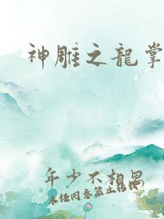 神雕之龙掌门