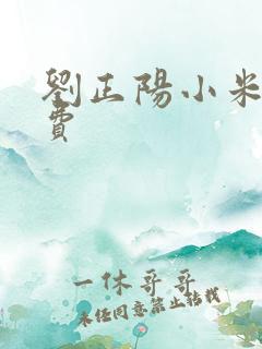 刘正阳小米多免费