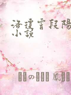 洛琼霄段阳澍的小说