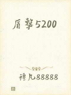 盾击5200