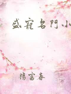 盛宠名门小夫人