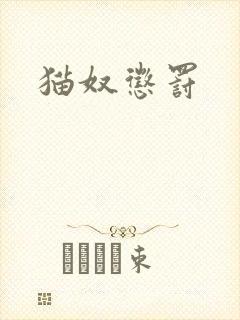 猫奴惩罚