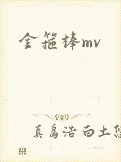 金箍棒mv