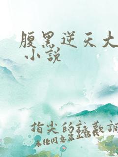 腹黑逆天大小姐 小说