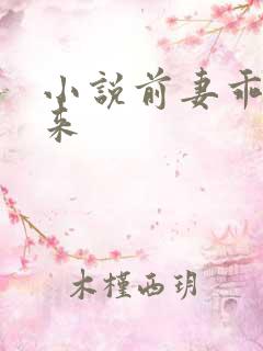 小说前妻乖乖回来