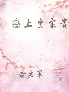 恋上皇家贵公主