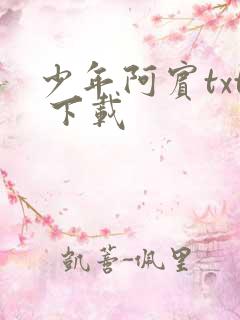 少年阿宾txt 下载