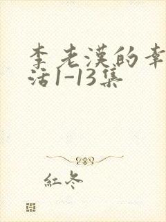 李老汉的幸福生活1-13集