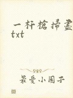 一杆枪扫尽全家txt