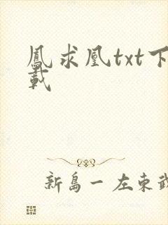 凤求凰txt下载