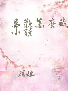 喜欢怎么藏不住小说