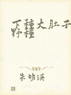 下种大肚子怀孕野种