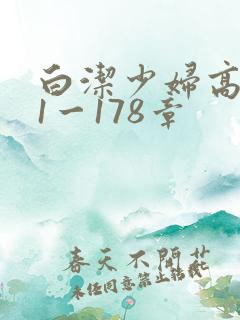 白洁少妇高义第1一178章
