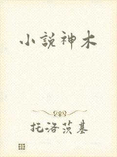 小说神木