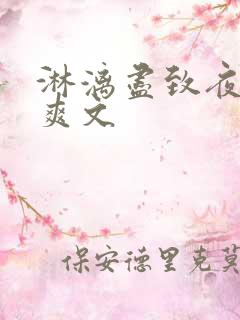 淋漓尽致夜晚小爽文