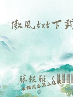 傲风txt下载