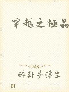 穿越之极品皇帝