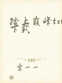 踏上巅峰txt下载