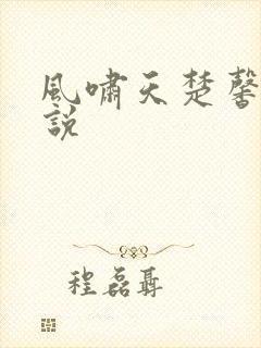 风啸天楚馨月小说