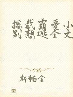 总裁霸爱小娇妻别想逃全文阅读免费