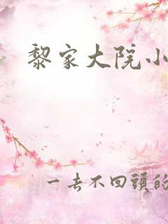 黎家大院小说
