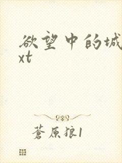 欲望中的城市txt