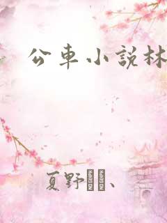 公车小说林蔓蔓