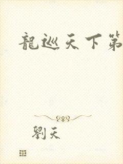 龙巡天下第四部