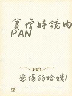 贫僧时镜肉补全PAN