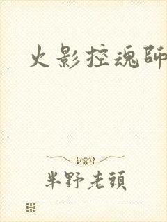 火影控魂师