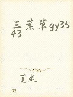 三叶草gy3543