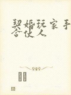 契婚玩家手册之合伙人