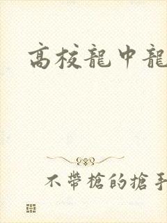 高校龙中龙全集