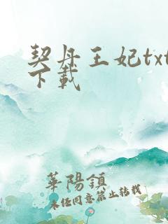 契丹王妃txt下载