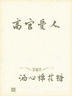 高官爱人