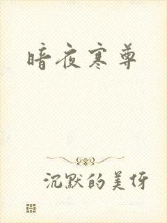 暗夜寒尊