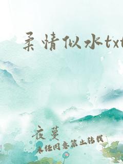 柔情似水txt