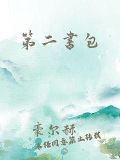 第二书包