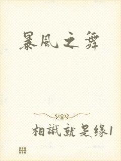 暴风之舞