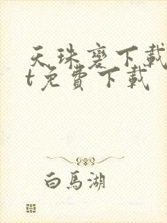 天珠变下载txt免费下载