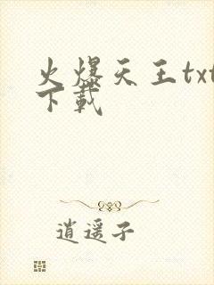 火爆天王txt下载