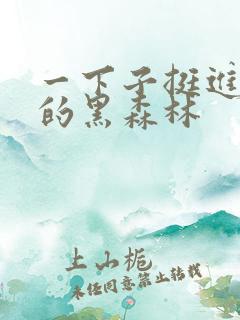 一下子挺进浓密的黑森林