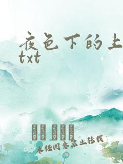 夜色下的上海滩txt
